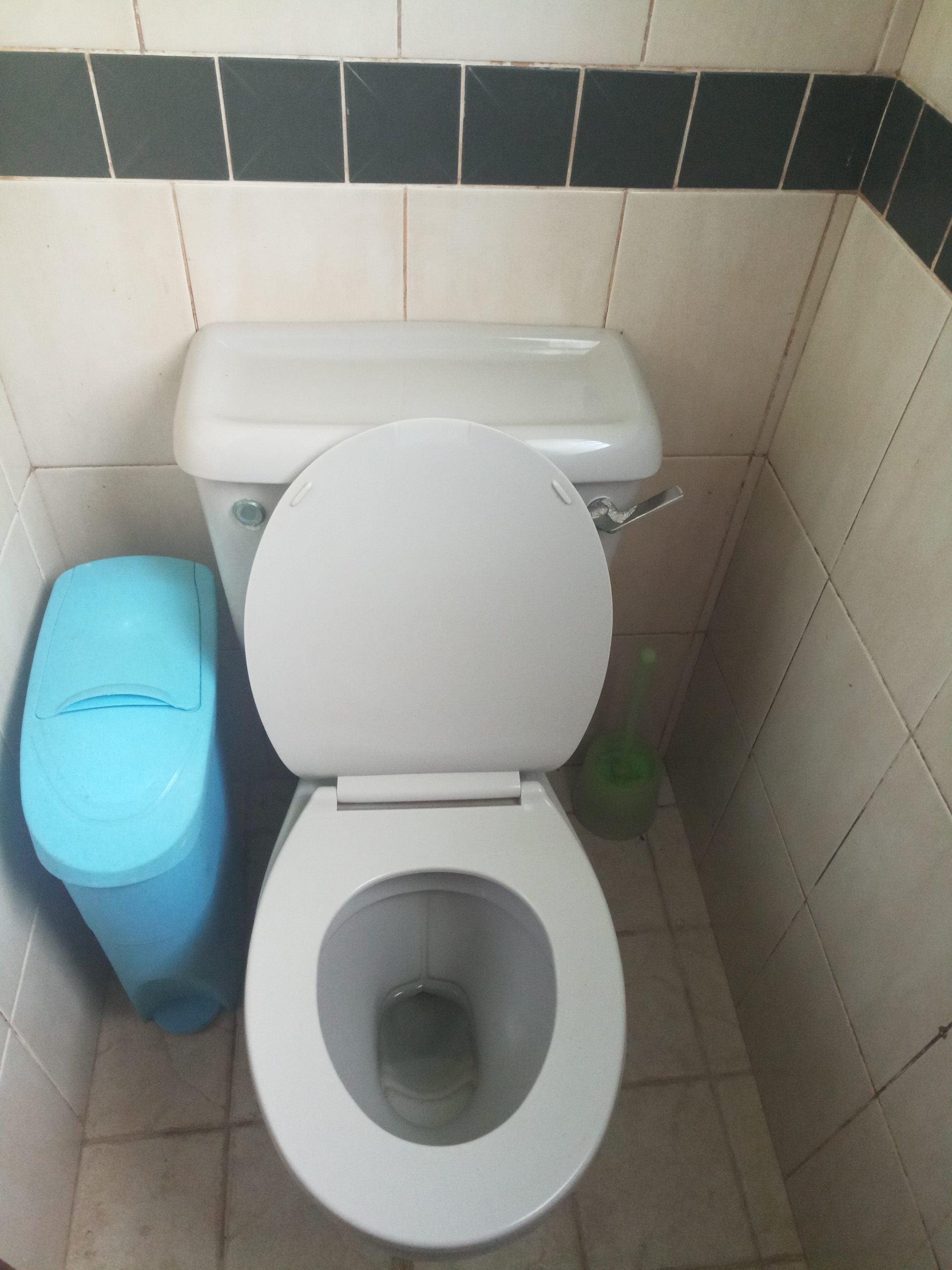 sanitary_bin_services