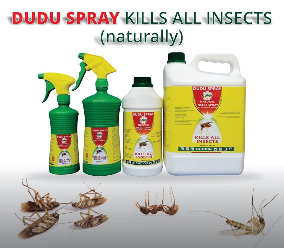 Dudu Spray (1lt) - Image 2