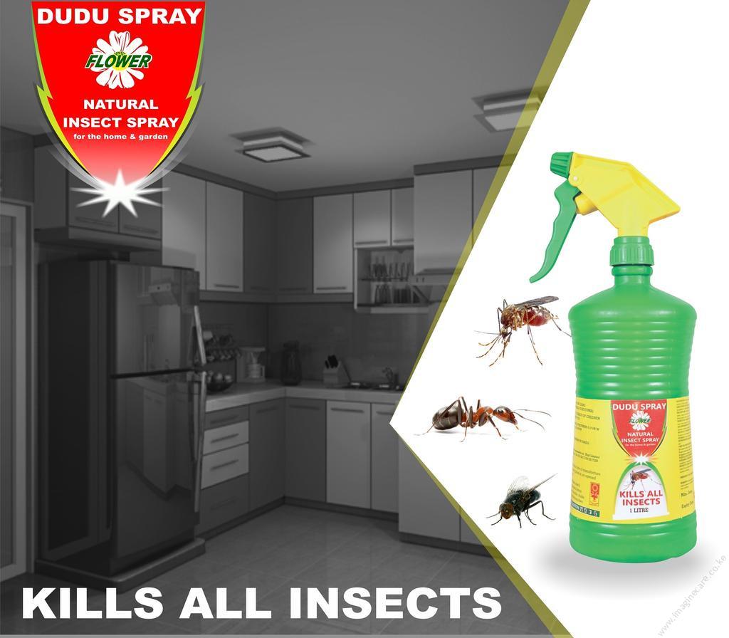 Dudu Spray (1lt) - Image 4