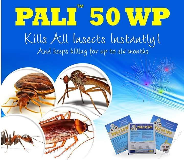 Pali 50 WP for bedbugs, cockroaches, ants, and mosquitoes