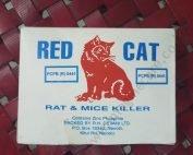 red-cat