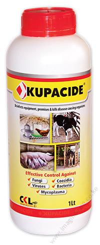 kupacide-2