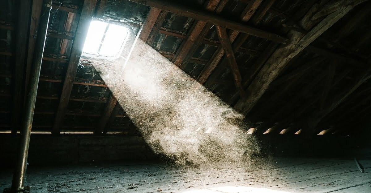 Noises-in-Your-Attic-Loft