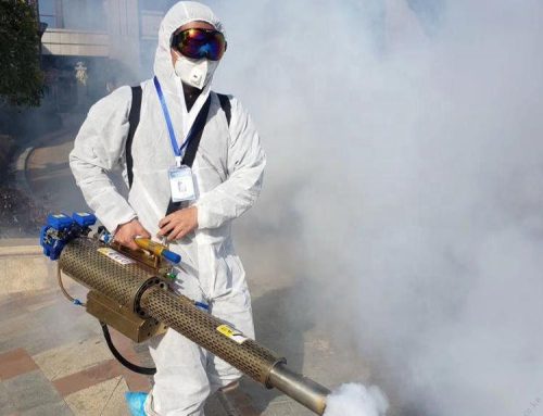Where to Buy Thermal Fogging Machine in Nairobi
