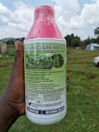 beansclean 480 SL