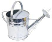 metallic watering can