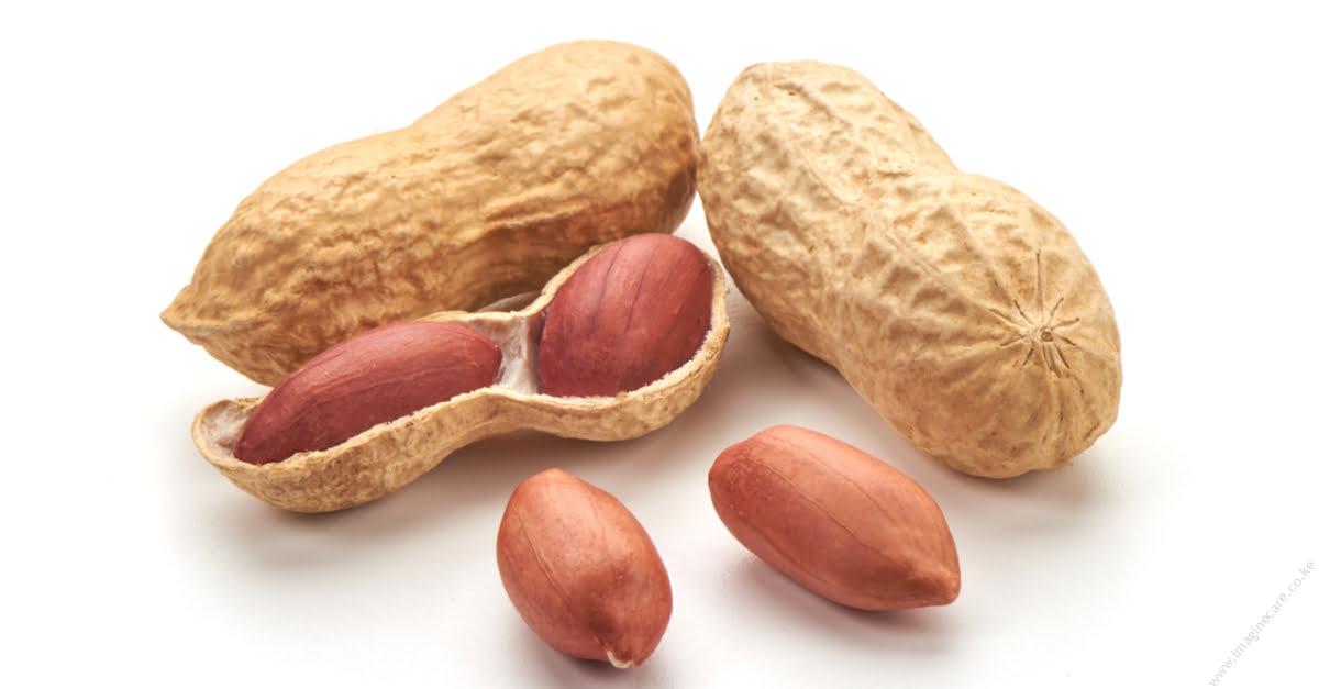 Groundnuts Farming in Kenya (Peanuts)