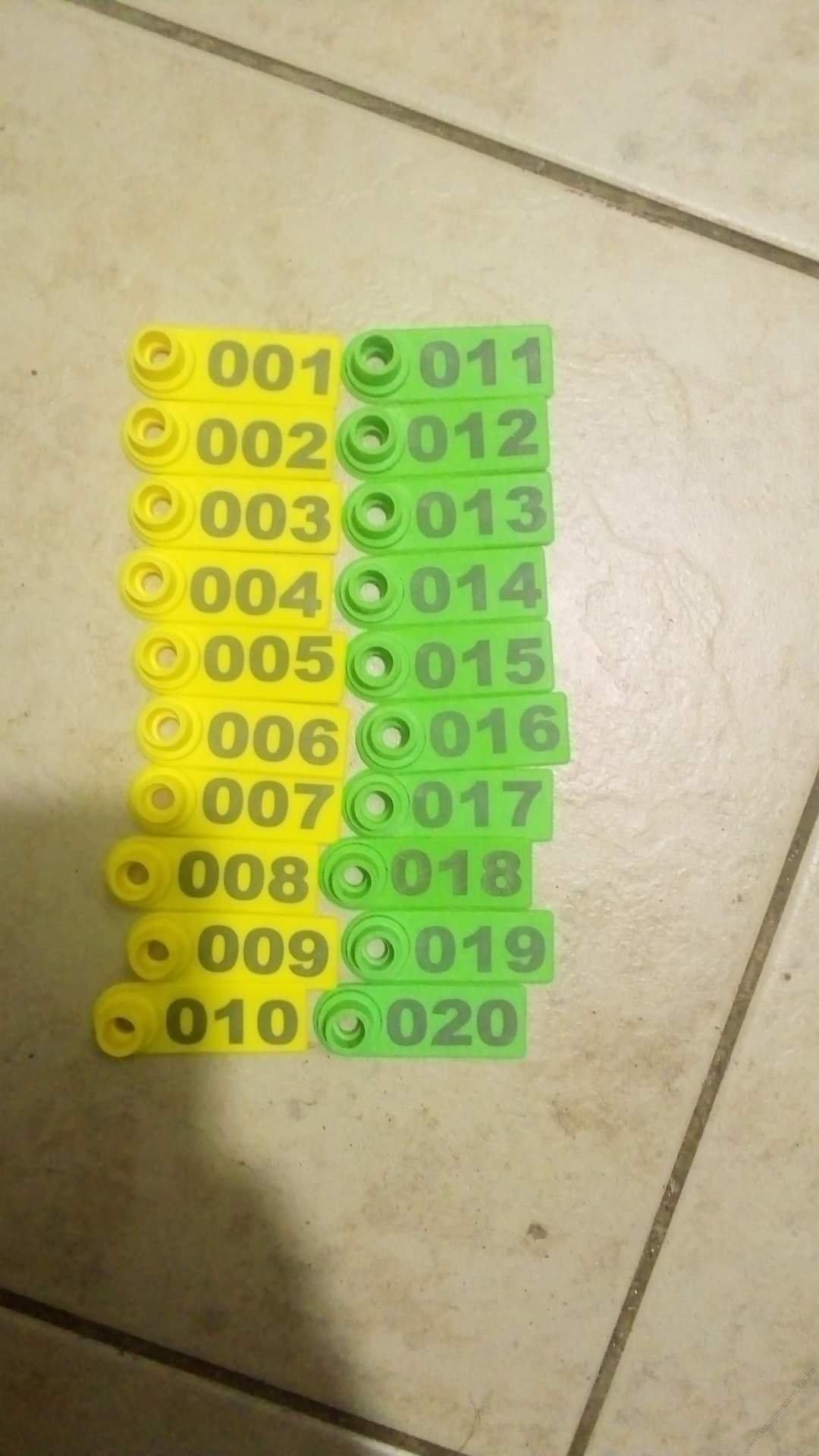 Ear Tag - Image 10