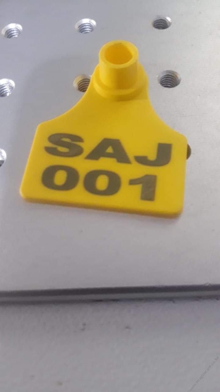 Ear Tag - Image 5