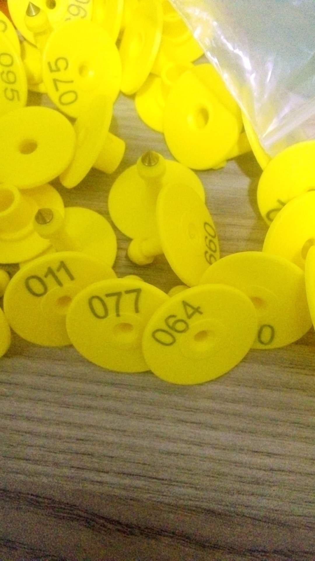 Goat Ear Tags - Image 2
