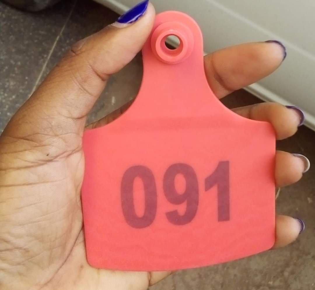Ear Tag - Image 6