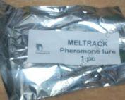 Meltrack - Fruit Fly Trap (hormone/attractant)