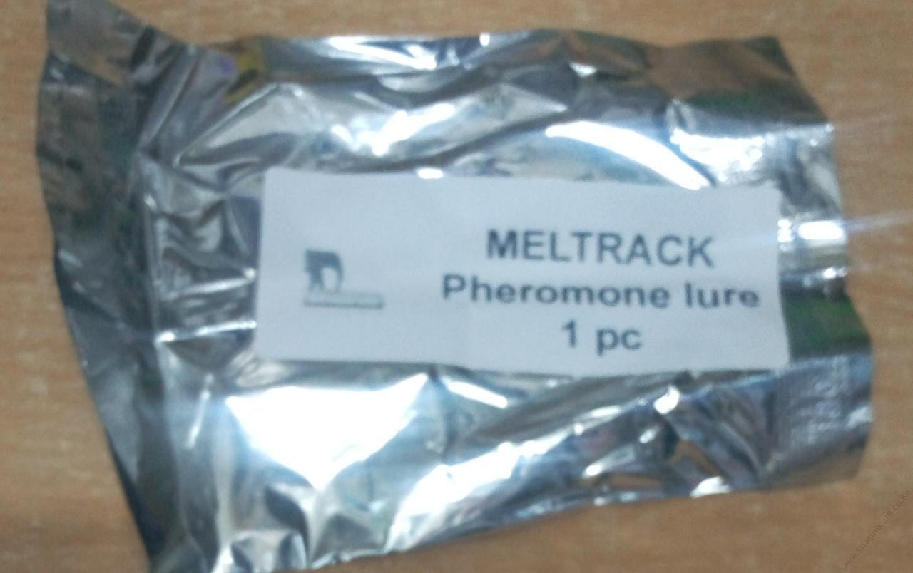 Meltrack - Fruit Fly Trap (tin + attractant/hormone) - Image 3