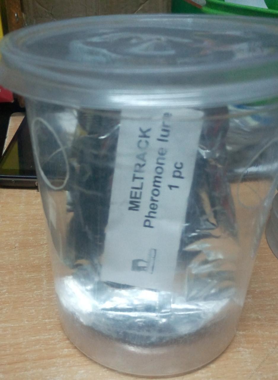 Meltrack - Fruit Fly Trap (tin + attractant/hormone) - Image 2