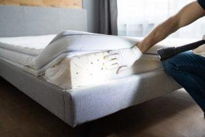 Where do bed bugs hide