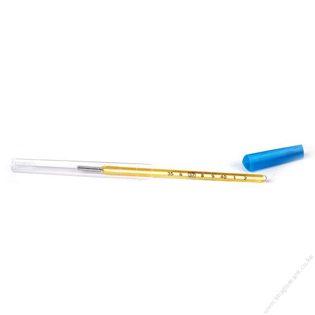 Mercury Thermometer