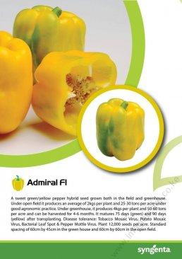 Admiral F1 - Image 3