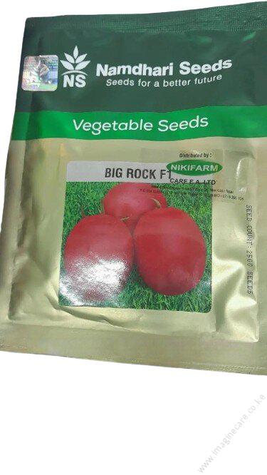 Big rock F1 Tomatoes