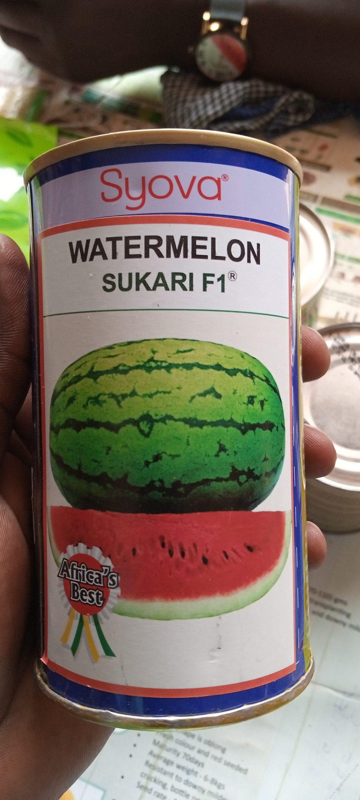 F1 Hybrid Watermelon Seeds - Image 3