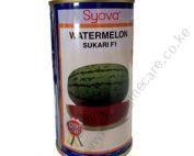 F1 Hybrid Watermelon Seeds