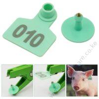 Pig Ear Tags