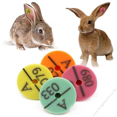 Rabbit Ear Tags