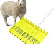 Sheep Ear Tags