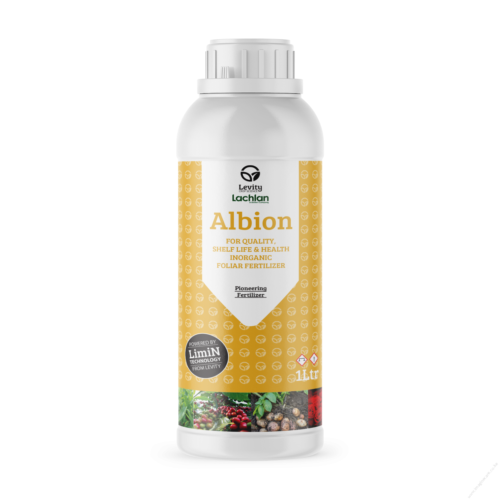 Albion