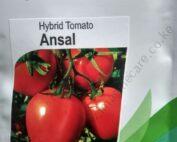 Ansal F1 Tomato Seeds