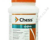 Chess