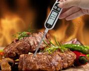 Digital Food Thermometer