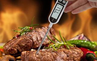 Digital Food Thermometer