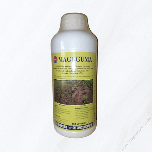 Maguguma
