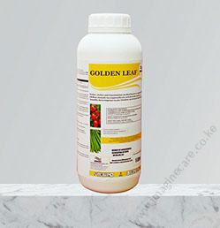 GOLDEN LEAF
