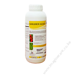 GOLDEN LEAF