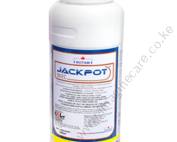 Jackpot 50EC