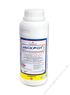 Jackpot 50EC