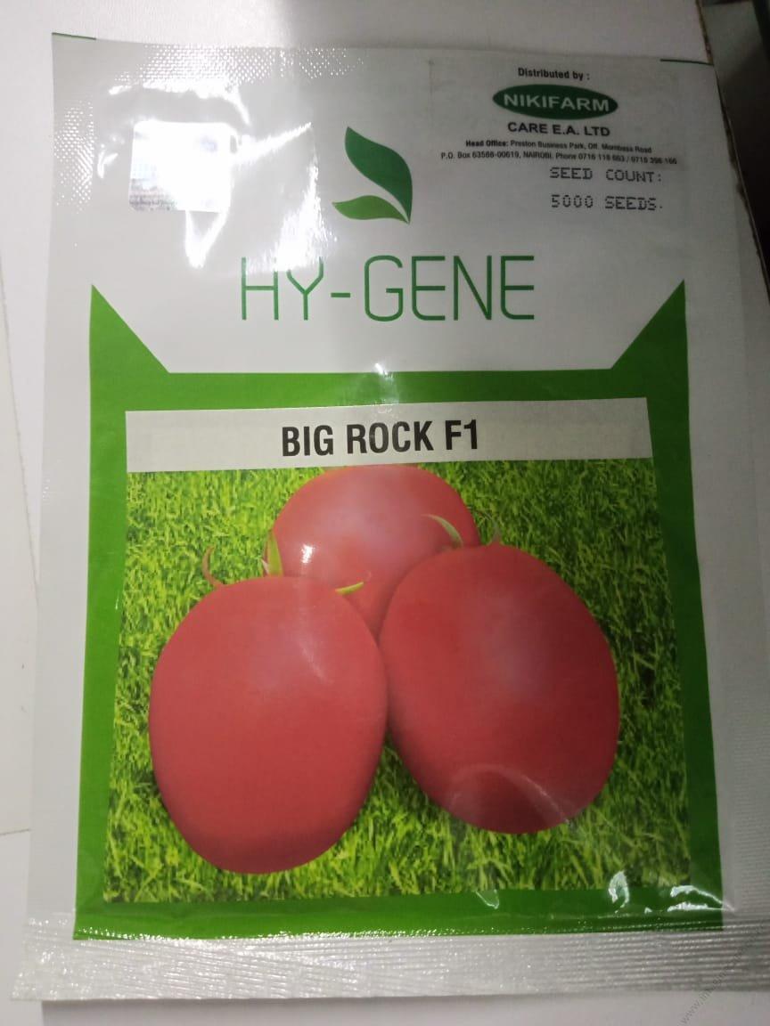 Big rock F1 Tomatoes 500 Seeds - Image 5