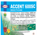 ACCENT-1 (1)