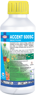 ACCENT-1 (1)