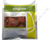 Africa Red F1 onion