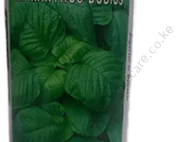 Amaranthus Dubios