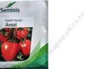 Ansal F1 tomato