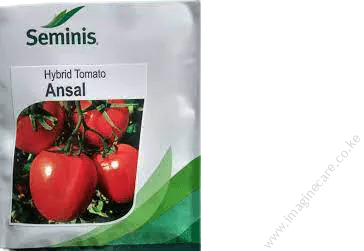 Ansal F1 tomato