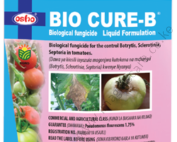 BIO CURE B