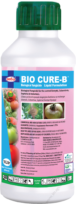 BIO CURE B