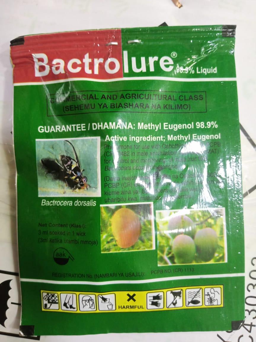 Bactrolure + Lynfield Trap - Clear (tin + attractant/hormone)