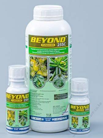 Beyond25EC-1 (1)