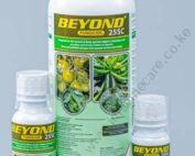 Beyond25EC-1 (2)