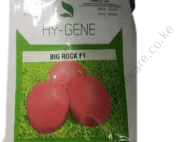 Big Rock F1 tomato 10,000 seeds